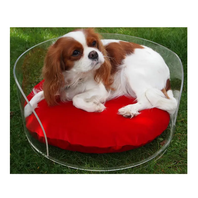 Acrilico Pet Base Del Cane, Acrilico trasparente di Plastica Cat Pet Bed Cute Dog Bed