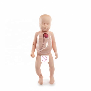 Maniquí <span class=keywords><strong>de</strong></span> enfermería neonatal Labpilot para PICC, modelo <span class=keywords><strong>de</strong></span> <span class=keywords><strong>catéter</strong></span> <span class=keywords><strong>venoso</strong></span> <span class=keywords><strong>central</strong></span>, material <span class=keywords><strong>de</strong></span> PVC avanzado, simulación humana realista para - Product Image 1