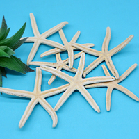 Coquillages de mer à doigts naturels, étoile de mer suspendue, décor de maison fait à la main, étoile de mer, jouet pour enfants, plante cadeau Diy