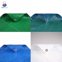 Bâche imperméable en plastique vert, blanc et bleu, fabriquée en Chine, 15 x 15, 12 x 12, 8 x 10, 8 x 8, 3 x 3, 4 x 6, 2 x 3 m