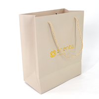 Bolsas de Papel Blanco con Impresión Offset para Ropa, Cosméticos, Empaque Minorista y Promoción de Marca