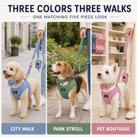 Kit de promenade pour chiot côtelé tendance, en gros, avec gilet de poitrine en Y, laisse, accessoire nœud, distributeur de sacs, en polyester et velours côtelé