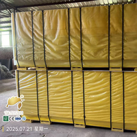 Gabarit DOKA en contreplaqué de coffrage de couleur jaune à 3 plis pour la construction de coffrages