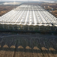 Serre en verre hautement transparente, serre agricole multi-spans, serre à contrôle climatique automatisé, culture de légumes