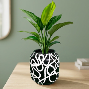 Stylish Home Planter Black Flower <b>Pot</b> Modern Decorative Indoor Desk <b>Holder</b> for Living Room Decor Tabletop Greenery - Product Image 5