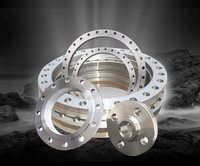 Bride de grand diamètre en acier inoxydable ASME B16.47 Classe 600, usinée CNC, de 24 à 60 pouces, pour projets pétroliers et gaziers