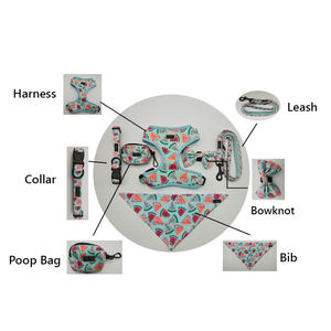 Set <span class=keywords><strong>Harness</strong></span> anjing multifungsi, 6 dalam 1, desain tugas berat tanpa tarik untuk keturunan besar, tali kerah hewan peliharaan mewah dapat disesuaikan OEM - Product Image 5