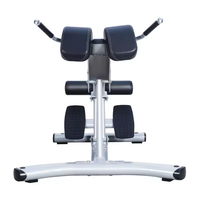 Chaise Romaine Commerciale de Haute Qualité, Banc d'Extension Dorsale, Équipement de Musculation, Banc à Haltères pour Gym à Domicile, Machine d'Entraînement des Lombaires