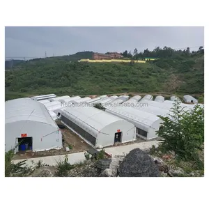 Ferme préfabriquée de volaille de poulet de structure de cadre en acier bon marché commercial pour 3000 poulets