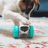 Robot intelligent anti-fuites, vente en gros, jouet interactif pour chien et animal de compagnie