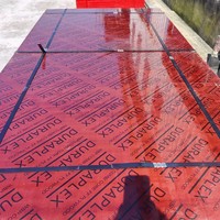 Système de coffrage en béton écologique 18 mm 4x8 pieds 1220x2440 mm E0 sans formaldéhyde, contreplaqué de peuplier pour l'extérieur pour la construction