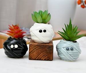 Petit pot de fleurs en céramique sur le thème d'Halloween pour plantes succulentes et plantes momies, nouvel ornement de jardin, balcon, vase de table - Product Image 2