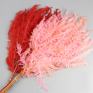 Fleurs séchées, pièces, plantes décoratives, vente en gros - Product Image 3