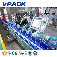 Machine de codage laser CO2 PM-1 en V personnalisé pour ligne d'assemblage d'eau codage professionnel de bouteilles en verre PET type dessin plastique