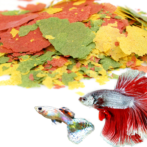Natural High Protein Customized <strong>KOI</strong> <strong>Fish</strong> Flake <strong>Food</strong> Aquarium <strong>Fish</strong> <strong>Food</strong> - Product Image 1