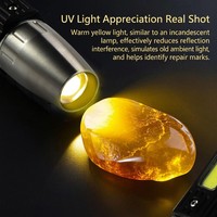 Lampe torche professionnelle d'identification de jade, lumière UV 365nm, rechargeable par USB, indice de protection IP54, testeur de pierres précieuses pour ambre et émeraude