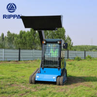 RIPPA Berühmte Yanmar Motor Mini Kompakt lader Diesel Crawler Kleine Mini Kompakt lader zum Verkauf