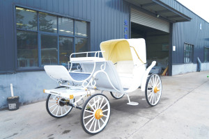Carroza Eléctrica sin Caballos para Turismo al por Mayor con Asientos Blancos, Elegante, Duradera, Personalizable y Económica - Product Image 2
