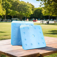 Congélateur à plaque eutectique PCM -22C, grande brique de glace réutilisable pour aliments, matériau HDPE/PE isolé thermiquement pour chariot à glaces