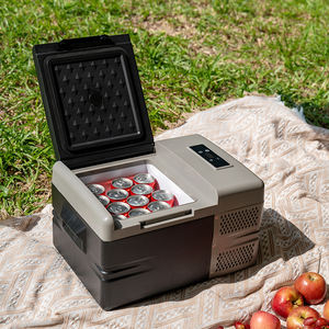 Réfrigérateur de <span class=keywords><strong>camping</strong></span>-<span class=keywords><strong>car</strong></span> 12L avec compresseur de réfrigération 12V 24V CC, mini réfrigérateur D12 pour <span class=keywords><strong>camping</strong></span>-<span class=keywords><strong>car</strong></span>, yacht, protection contre les basses tensions - Product Image 3