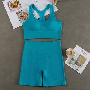 Conjuntos Deportivos para Mujer, 2 Piezas, Top Deportivo con Cierre Cruzado en la Parte Delantera, Pantalones Cortos, Conjuntos de Gimnasio, Yoga y Fitness, Venta al Por Mayor - Product Image 5