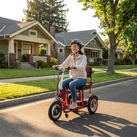 Scooter électrique pliable léger tout-terrain à 3 roues pour personnes âgées