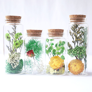 Souvenirs de mariage, fleurs réelles dans un bocal en verre, bouteille à vœux, mini tube à essai avec fleurs séchées <span class=keywords><strong>pour</strong></span> Diwali - Product Image 2