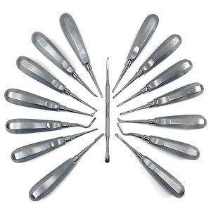 Ensemble d'élévateurs dentaires Dexa, 12 pièces, instruments chirurgicaux buccaux professionnels, poignée ergonomique, outils dentaires manuels - Product Image 1