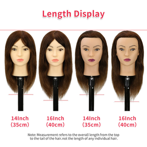 Tête de mannequin <span class=keywords><strong>d</strong></span>'enseignement en cheveux humains 100% naturels, 51 cm, cheveux raides pour la coupe, le tressage et les applications de <span class=keywords><strong>d</strong></span>écoloration des cheveux - Product Image 3