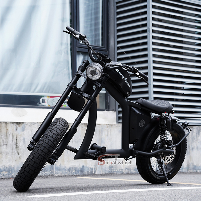 Adult Use E-bike Mountain Electric Cycle Bicycle Dirt City E Bike Ebike 1000W 48V 22.5Ah Battery for City Commuting