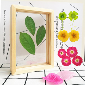 Promotional A4 Wood Double Sided Glass DIY <strong>Frames</strong> Simple <strong>Plant</strong> Specimens <strong>Frame</strong> Home Decor Photo <strong>Frames</strong> Ornaments Decoration - Product Image 4