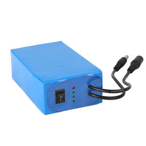 슈퍼 충전식 리튬 이온 12v 배터리 팩 9800mAh + 미국 플러그 충전기 CCTV 카메라 용 - Product Image 5