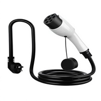 Câble de recharge portable pour VE 3,3 kW 220 V 16 A, cordon de charge 3 m universel pour véhicules à énergie nouvelle