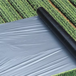 <span class=keywords><strong>Film</strong></span> de soufflage en plastique PE <span class=keywords><strong>noir</strong></span> argenté personnalisé pour l'agriculture avec services de traitement et de découpe de moules - Product Image 6