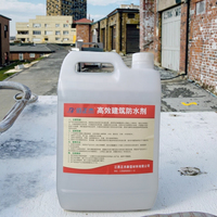 Spray de revêtement imperméable en caoutchouc de silicone liquide d'arrêt d'eau nano clair pour l'application de bâtiment