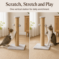 Griffoir pour chat en sisal, grand modèle, pour arbre à chat