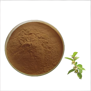 10:1 20:1 Gymnema Sylvestre Extract Poeder En 25% 75% Gymnemisch Zuur Gymnema Sylvestre Extract Voor Gezondheidsproduct Formuleringen - Product Image 2
