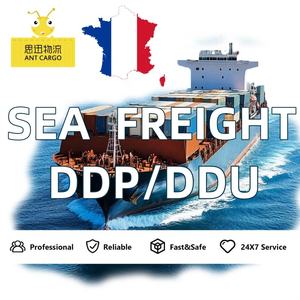 从中国到法国DDP的低成本门到门FCL海上货运代理 - Product Image 1