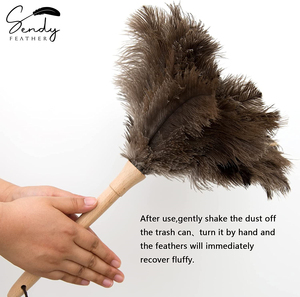 Dụng Cụ Lau Bụi Lông Đà Điểu, Dụng Cụ Lau Bụi Lông Vũ Lông Đà Điểu Lông Mịn Tự Nhiên Chính Hãng Có Tay Cầm Bằng Gỗ Để Làm Sạch Nhà Cửa Và Xe Hơi - Product Image 6