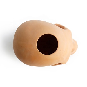 Vaso per Fiori in Terracotta a Forma di <span class=keywords><strong>Testa</strong></span>, per Piante Grasse e Cactus, Design Moderno ed Ecologico per Arte da Giardino - Product Image 5