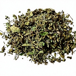 Hojas Secas de Gymnema Sylvestre, Materia Prima Natural de Hojas Secas de Gymnema Sylvestre - Product Image 1