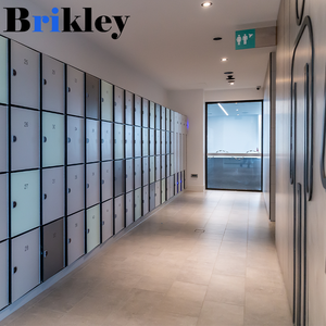 Düz renk 3 katmanlı fenolik HPL elektronik kilit ve şifreli kilit ofis ve okul soyunma odası dolabı su geçirmez yanmaz dayanıklı özellikler - Product Image 3