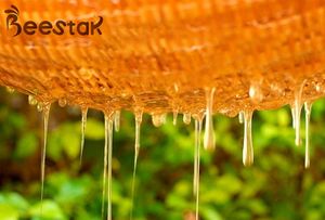 BEESTAR 2026 ¡OFERTA! Miel de Flores 100% Natural, Miel de Abeja Recién Extraída a Granel para Consumo Directo o Postres - Product Image 3