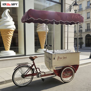 Carrito de Venta Móvil Remolcable para Helados y Comida Rápida con Construcción Metálica Resistente a la Oxidación para Uso en Exteriores - Product Image 6