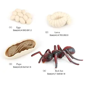 Figura de mariposa, mariquita, pollo, modelos de plástico, simulación de animales, ciclo de crecimiento, juguete educativo para niños, 2021