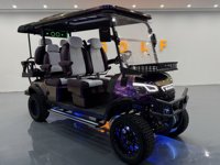 Voiturette de golf électrique surélevée sur mesure, chariot électrique de tourisme sur mesure avec sièges en cuir