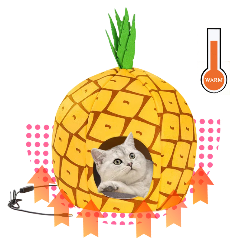 Ananas