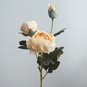 Salon Décoration Ornements Photographie Props Style Américain Noble Consort Pivoine Rétro Fleur De Soie - Product Image 6