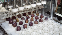 Hoge Kwaliteit Automatische Commerciële Fruitverwerking Zaadverwijderingsmachine Abrikozenprune Coring Pitting Destone Machine