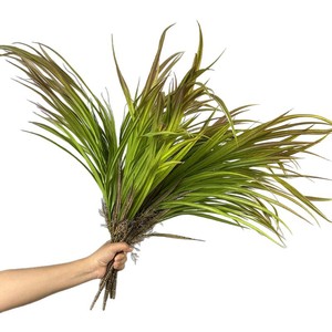 Orquídea hierba verde boda camino guía Artificial Chlorophytum cebolla hierba <span class=keywords><strong>planta</strong></span> con <span class=keywords><strong>espada</strong></span> hoja de lirio para paisajismo - Product Image 5